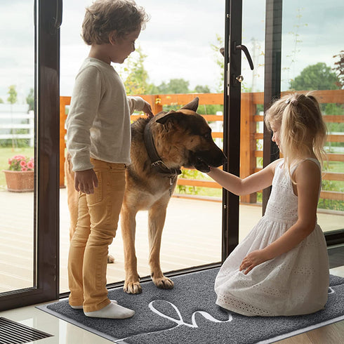 BeneathYourFeet Door Mat, Durable Welcome Mat Low Profile Floor Mat Front Doormat Indoor and Outdoor Doormat Non Slip Rugs for Entryway, Patio, High Traffic Areas (32"x20", Grey)