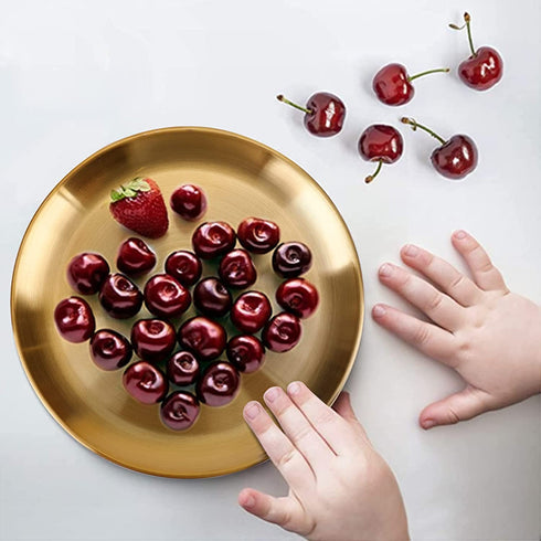 304 Stainless Steel Dinner Plate, Rutian 9" Metal Round 18/8 Dinner Dishes for Adults, Reusable and Dishwasher Safe, Serving Camping Salad Plate for Home,Outdoor Camping, Snack,and BBQ,Set of 4