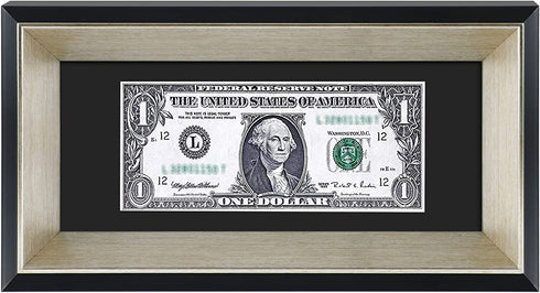 Space Art Deco, Black Dollar Bill/License Holder Frame with Silver Beveled Edge with Black Mat, Tempered Glass - Easel Stand/Wall Mount - Sawtooth Hangers (Black/Silver, 1-Pack)
