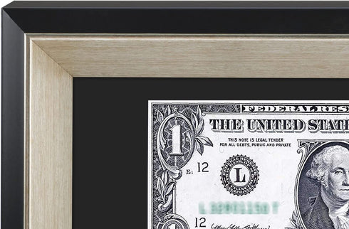 Space Art Deco, Black Dollar Bill/License Holder Frame with Silver Beveled Edge with Black Mat, Tempered Glass - Easel Stand/Wall Mount - Sawtooth Hangers (Black/Silver, 1-Pack)