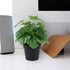 LuckyGreenery Artificial Monstera, Realistic Fake Plants with Pots for Home and Office Decoration, 12in (H) x 5in (W)
