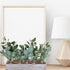 Mixed Eucalyptus Leaves Stems Bulk Faux Seeded Eucalyptus Leaves Sprays Artificial Silver Dollar Eucalyptus Leaves Stems for Floral Wreath Garland Bouquets Arrangement Wedding Greenery Decoration