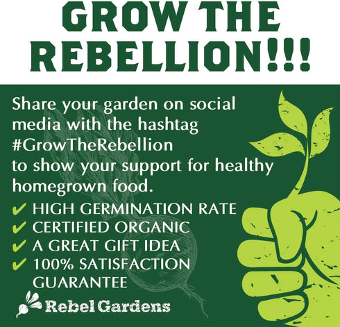 Heirloom Vegetable Seeds for Planting: 13 Varieties of Organic Non-GMO Open Pollinated Garden Seed - Weird and Rare Varieties Perfect for Kids and School Gardens