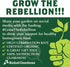 Heirloom Vegetable Seeds for Planting: 13 Varieties of Organic Non-GMO Open Pollinated Garden Seed - Weird and Rare Varieties Perfect for Kids and School Gardens