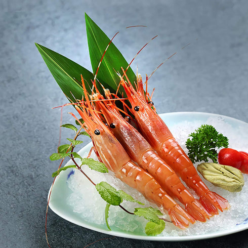 Bamboo Leaves Sushi Bazooka Maker Kit 100pcs - Decorations for Japanese Sushi Roller Plates