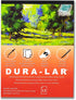 Grafix Dura-Lar 004? Film Coated to Accept Water Based Mediums, Perfect for Watercolor, Planning Compositions, Painting Surfaces or Printmaking, 11 x 14, Wet Media, 12 Sheets