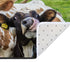 Cushioned Kitchen Mat Large Kitchen Floor Mats for in Front of Sink Waterproof Non-Slip Three Cute Cow Kitchen Mats and Rugs Anti-Fatigue Comfort Floor Mat,40" x 20"
