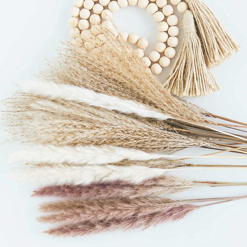 60 Pcs Pampas Grass | 15 Pcs White Pampas & 15 Pcs Brown Pampas & 30 Pcs Reed Grass/Natural Dried Pampas Grass for Flower Arrangements Boho Decor Home Decor