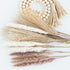 60 Pcs Pampas Grass | 15 Pcs White Pampas & 15 Pcs Brown Pampas & 30 Pcs Reed Grass/Natural Dried Pampas Grass for Flower Arrangements Boho Decor Home Decor
