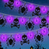 Halloween String Lights Decoration Battery Operated LED Spider String Lights with Twinkle Skeleton Banner for Halloween Garden Indoor, Porch Outdoor Decorations