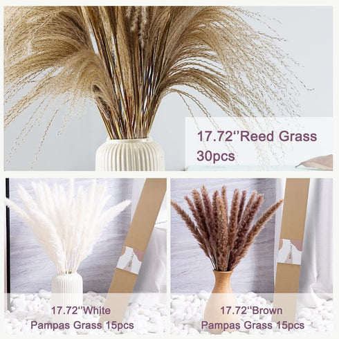 17.72" Dried White Pampas Grass 15 Pcs–•Brown Dried Flower 15 Pcs–•30 Pcs Natural Dried Reed, Natural Home Decor & Ideal for Flower Arrangements, Wedding Plants(60 Pcs)