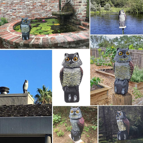 Fake Owl Sculpture with Rotating Head