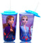 Disney Frozen 2 Elsa Anna Drink Tumblers with Lid, Reusable Straw Set for Kids Girls Toddlers, Pack of 2 - Safe BPA free by Zak design