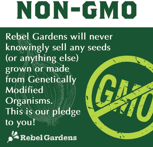 Heirloom Vegetable Seeds for Planting: 13 Varieties of Organic Non-GMO Open Pollinated Garden Seed - Weird and Rare Varieties Perfect for Kids and School Gardens