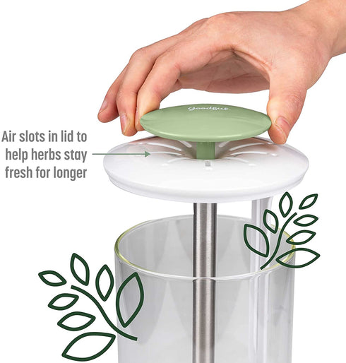 Goodful Herb Keeper Preserver, Designed for Optimum Breathable Airflow for Maximum Freshness, Water Line Ensures the Use of the Right Amount of Water, Stores in your Refrigerator