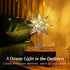 Lewondr Christmas Tree Topper, Battery Powered 3D Geometric Star Decorative LED Lights Bright Star Lighting with Springy Base for Holiday Xmas Tradition Moravian Tree Christmas Decor - Silver