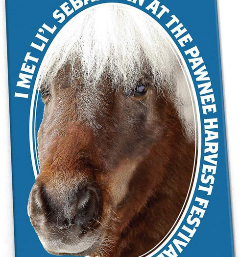 Parks and Recreation Merchandise, Refrigerator Magnets Set of 6