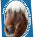 Parks and Recreation Merchandise, Refrigerator Magnets Set of 6