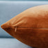 JUSPURBET Velvet Throw Pillow Covers for Sofa Couch Bed,Decorative Soft Pillow Cases Set of 2,22x22 Inches,Rust