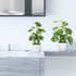 4pcs Small Fake Plants Potted Artificial Mini Greenery Evergreen Lotus Leaf Clover Luau Leaf for Desk Table Home Office Room Bedroom Decoration