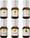 Winter Essential Oil Set of 6 Fragrance Oils - Christmas Wreath Pine, Vanilla, Peppermint, Cinnamon, Sugar Cookie, and Gingerbread by Good Essential Oils