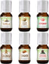 Winter Essential Oil Set of 6 Fragrance Oils - Christmas Wreath Pine, Vanilla, Peppermint, Cinnamon, Sugar Cookie, and Gingerbread by Good Essential Oils