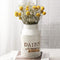 APSOONSELL French Style Shabby Chic Decor Beige Farmhouse Decor Metal Flower Vase Galvanized Decor for Kitchen, Bathroom, Sparklers for Weddings