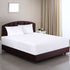 Utopia Bedding Waterproof Premium Zippered Mattress Encasement - Fits 12 Inches Mattress (Queen)