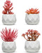 Nordik Set of 4 Desk Plants - Office Decor for Women Desk, Indoor, Living Room, Bedroom, Home and Desk Decor Pink Faux Succulents in White Geometric Ceramic Planters