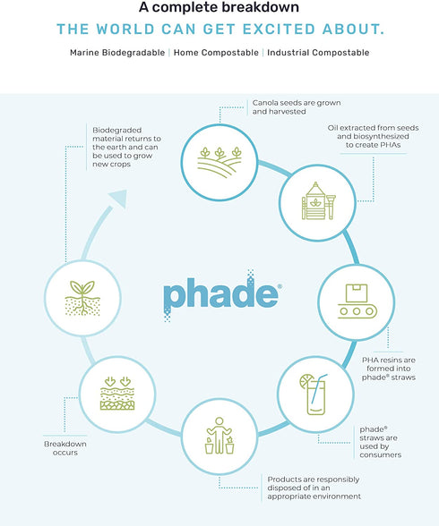 phade Eco-Friendly Sustainable Marine Biodegradable Compostable Giant Straws, Individually Wrapped, 10.25" - 250 Count