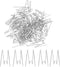 50pcs Fabric Panel Wall Wire Hooks, SUMERSHA Stainless Steel Cubicle Hooks Wall Clips Picture Hangers for Home, Office Decor, Silver