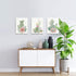 Framed Canvas Wall Art Succulents Cactus Picture Print Paintings Bathroom Wall Decor Living Room Bedroom Kitchen Wall Decorations Artwork Modern Home 3 Piece Plant Wall Decor Size 12x16 inch 3 Panel