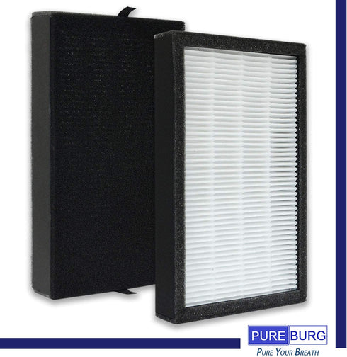 PUREBURG Replacement HEPA Filter Set 2+8 Compatible with FLT4100 AC4100 Filter E, AC4100CA AC4150BL AC4150PCA AC4150PC Part Number FLT11CB4