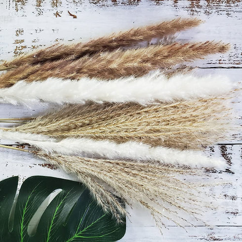 60 Pcs | 15 Pcs White Pampas & 15 Pcs Brown Pampas & 30 Pcs Reed Grass/Natural Dried Pampas Grass for Flower Arrangements Home Decor