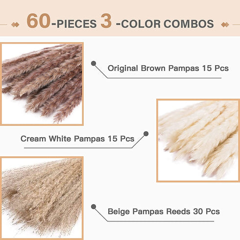 60 Pcs Pampas Grass | 15 Pcs White Pampas & 15 Pcs Brown Pampas & 30 Pcs Reed Grass/Natural Dried Pampas Grass for Flower Arrangements Boho Decor Home Decor
