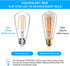 Vintage LED Edison Bulb, 6W, Equivalent 60W, Soft White 2700k, Non-Dimmable Led Filament Light Bulb, E26 Base, High CRI 95+ Eye Protection Led Bulb, Clear Glass for Home Bathroom Kitchen, Pack of 5