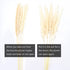 Natural Dried Pampas Grass Boho Home Decor, 65Pcs 17Inch Dried Flower Bouquet Decorative Pampas Grass for Vase Filler, Flower Arrangements, Wedding Office Decor Fluffy and Soft