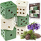 Moth Dice Dried Lavender & Cedar Blocks Alternative Clothes Drawer and Linen Closet Freshener Cedarwood and Lavender Essential Oils