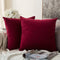 MIULEE Pack of 2 Velvet Pillow Covers Decorative Square Pillowcase Soft Solid Wine Red Cushion Case for Decor Sofa Bedroom Car 22 x 22 Inch 55 x 55 cm