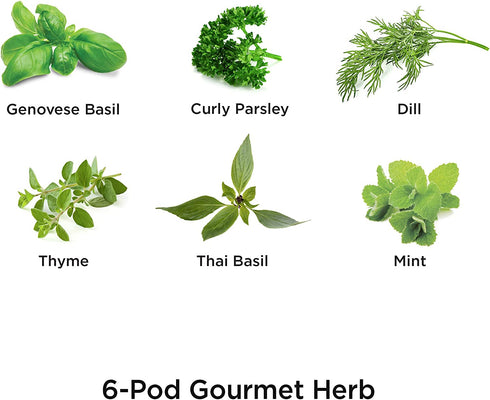 AeroGarden Gourmet Herb Seed Pod Kits