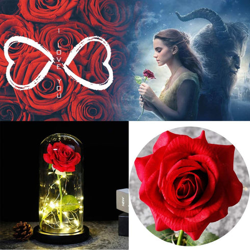 Beauty and The Beast Red Rose in A Glass Dome On A Wooden Base for Valentine's Gifts LED Rose Lamps (Black Bottom)
