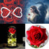Beauty and The Beast Red Rose in A Glass Dome On A Wooden Base for Valentine's Gifts LED Rose Lamps (Black Bottom)