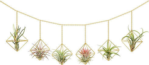 Dahey 6 Pcs Hanging Air Plant Holder Mini Metal Airplant Rack Hanger Modern Himmeli Geometric Planter Tillandsia Air Fern Display Stand with Chains for Home Office Wall Decor Wedding Ornament,Gold