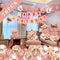 Rose Gold Birthday Party Decorations, Happy Birthday Banner, Rose Gold Fringe Curtain, Heart Star Foil Confetti Balloons, Hanging Swirls for Women Girls Birthday Princess Party