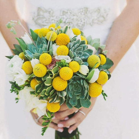 Uieke 30Pcs Natural Dried Flowers Craspedia Billy Balls Flowers Billy Buttons Floral Bouquet for Flower Arrangements Wedding Home Tall Vase Decor Yellow