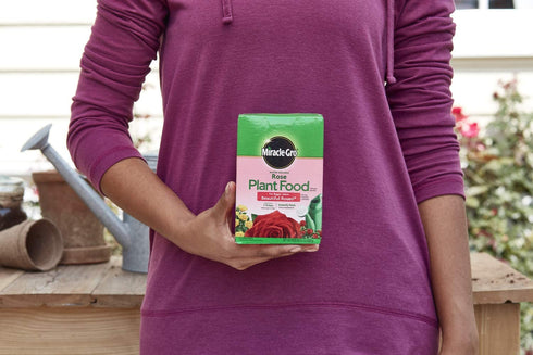 Miracle-Gro Water Soluble Rose Plant Food, 1.5 lb