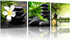 TutuBeer 3 Panel Zen Canvas Wall Art Still Life SPA Stone Green Bamboo White Frangipani Flower Pictures Prints on Canvas for Home Office Kitchen Wall Decor Stretched and Framed Each Panel 12x12inch
