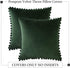 Woaboy Pack of 2 Velvet Throw Pillow Covers Spring Pompom Decorative Pillowcases Solid Soft Cushion Covers with Poms Square for Couch Sofa Bedroom Car 20x20inch Dark Green