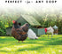 Harris Farms Free Range Hanging Poultry Feeder | Twist Lock Base | 10 Pound