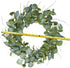 Artificial Greenery Wreath,20? Silver Dollar Eucalyptus Leaves Wreath with Pip Berries Green Spring/Summer Wreath for Front Door Wall Window Decor and Festival Celebration
